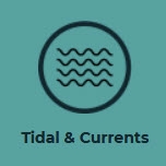 41274-tidal.jpg