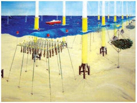 84674-3.jpg 84674-3.jpg